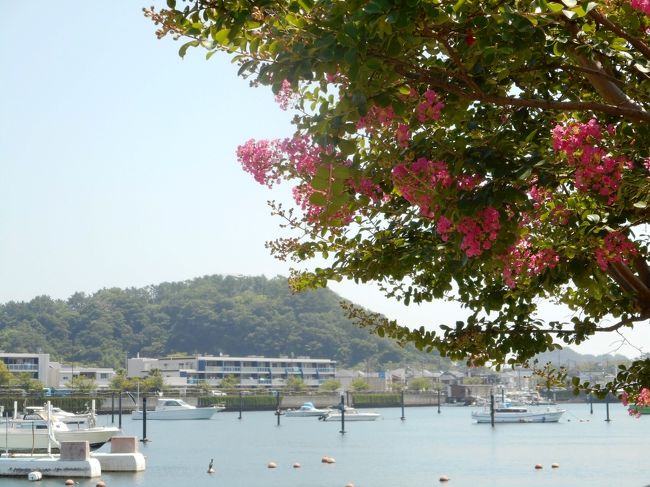 　夏らしく、海辺に行くことにした。以前より行ってみたいと思っていた、横浜の金沢に行くことにしたが、久しぶりの金沢八景は駅が大きく変わっていた。<br />　駅のすぐそばにある平潟湾沿いを歩き、海浜公園の砂浜を見る。炎天下ではあるが、海辺は潮風が涼しげで心地よい。<br />　今回もメインは電車の旅で、京急の快速特急と、横浜シーサイドラインに乗るのが主な目的。シーズンらしく列車は混み、海もにぎわっていた。<br />　詳細は写真参照。