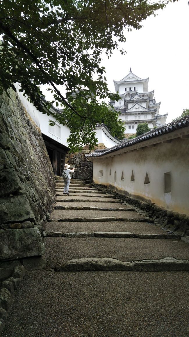  姫路城、竹田城、篠山城など兵庫県内にあるお城を巡りました。城崎温泉に宿泊しました。