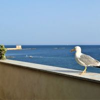 魅惑のシチリア×プーリア♪　Vol.203　☆トラーパニ：ホテル「ラ・ガンチア」カモメのいる朝食♪