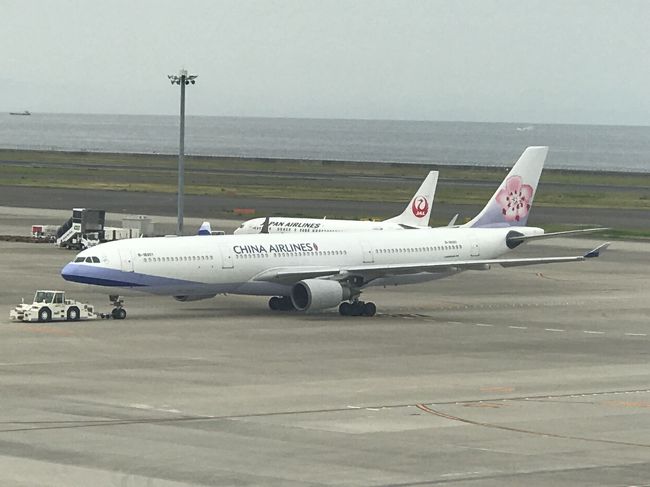 7月3連休の前日、名古屋で昔の仲間の飲み会があって、会社帰りに名古屋へ<br />せっかくなので、名古屋飯をいくつか楽しみ、翌日はそのまま台北に飛んでしまいました(笑)<br /><br />■利用便<br />往路:2019年7月13日(土)<br />CI115便 NGO 9:50 → TPE 12:05(定刻)<br /> 9:49 11:49 ※7月13日の実際の運航時間<br /><br />復路:2019年7月16日(火)<br />CI106便 TPE 16:20 → NRT 20:35(定刻)