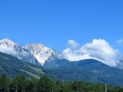 2019夏　白馬の高山植物　その１