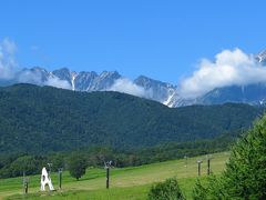 2019夏　白馬の高山植物　その２