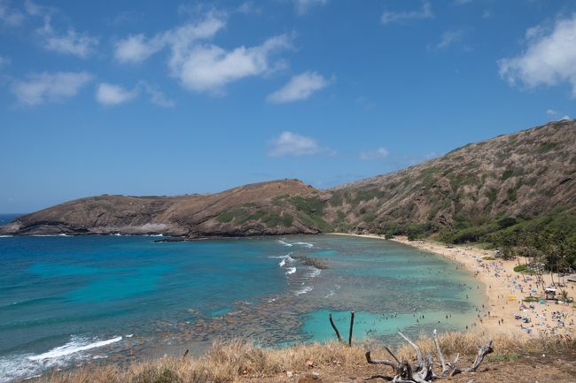 2019年の夏休みは約1年半ぶりのハワイ！！<br />そして、じじばばも一緒に三世代の旅。<br /><br />５歳の長男たむすけはもちろん、<br />２歳の二男たむじも前回より出来ることが増えるだろうし、<br />たっぷり遊べそうだ。<br /><br />６日目は、早朝からハナウマ湾へ。その後はワイキキ付近をうらうらとしながら、ディナーは毎回欠かさないウォルフギャングステーキハウスへ。