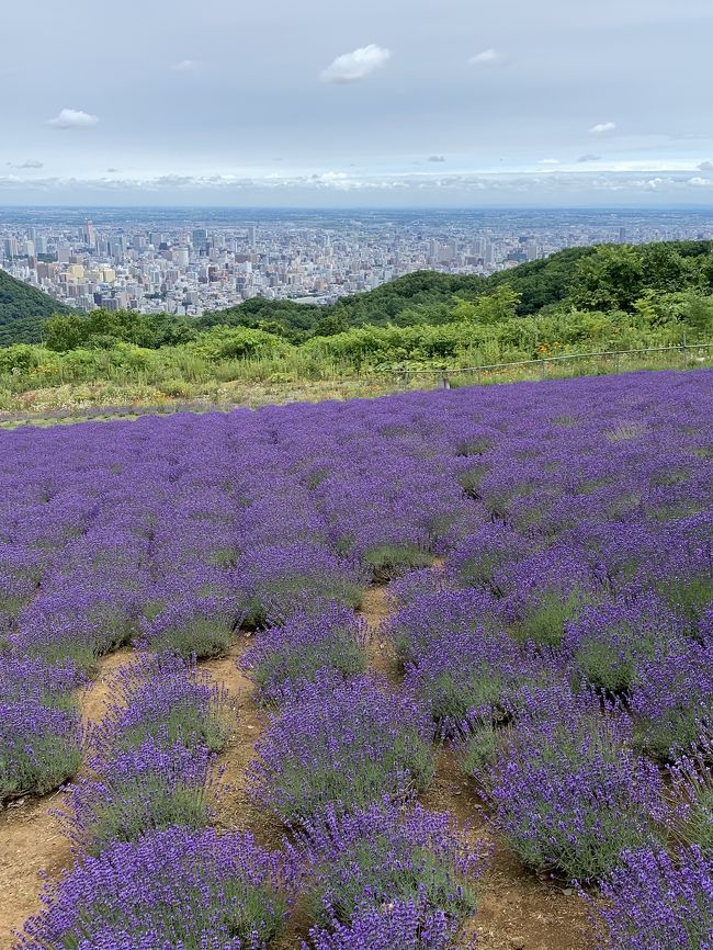 札幌に天空のラベンダー畑があるなんて！そして札幌夏まつりは超巨大ビアガーデン