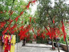 鎮江金山寺♪とりあえず山に登った慈寿塔♪大雄宝殿♪蔵経楼♪江天一覧♪韋駄天♪度一切苦厄2019年６月中国 揚州・鎮江７泊８日(個人旅行)４５