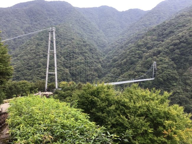 綾の照葉大吊り橋は昭和59年に架橋された高さ142m、長さ250m、遊歩道としては世界規模の高さです。遊歩道を歩いて照葉樹林を観賞し森林浴をしながら散策されるのも良いかと………。山桜が咲くころ、紅葉の時期にあわせてくるのも良いかと思います。今回で2回目の訪問でその頃はまだ4トラをしてない時でもあって写真は全くなかったので久しぶりに行ってきました。