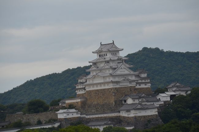世界遺産が今ほど注目されていなかった頃、西本願寺などに先駆けて指定されました。それから大修復に入り、漆喰が塗り直されて、見違えるほどの美白になりました。「白鷺城」という別名も、「その通り」と納得します。日本の誇る名城です。