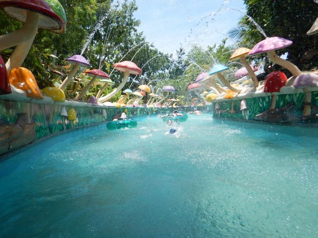 2018年夏は長男が部活合宿があり、両親と次男三男で台湾に行きました。冬に長男含めグアムでプール三昧な旅行をしたところ、子供達からは「夏もやっぱりウォーターパークのある場所がいい!」とのリクエストがありリサーチ。<br />今回はリゾートを求め、プールが充実しているところで且つ行ったことのない場所として、5時間弱のフライトで行くことのできるセブ島にしました。<br />一度もスコールにあうこともなく、天候に恵まれた楽しい旅行でした。<br />今年の夏も長男は合宿の為、不参加。両親と次男三男の旅行です。<br /><br /> エアー直行便を必須として、セブパシフィック航空ですと日程が合わなかったため、フィリピン航空便をHISより予約をしました。また、ホテルは過去にグアムではプールが充実したオンワード・ビーチ・リゾートが大のお気に入りだったので、セブ島で一番プールが充実しているJpark Island Resortのプール付きヴィラをAgodaから予約しました。Agodaのサイトからでしか、大人2人と子供2人では予約ができませんでした(ホテルのHPからも子供がいるとだめです)。そのため、Agodaのサイトへは、事前に子供2人いること、またエクストラベッドもリクエストをしてから行きました。<br />今は、Google翻訳などもあるため、事前にメールで確認することをお勧めします。<br /><br /> ショッピングや観光をほぼ行わず、ジンベイザメ体験のみKKday のサイトから12時間の貸切チャーター車送迎プラン(日本語はほぼ不可)を予約して、海でのリゾート気分を楽しみに企画しました。<br />備忘録を兼ね、新しい情報には乏しいかと思いますが、何か参考になる事がありましたら幸いです。<br /><br />エアー 往 PRO433 14:40-18:45<br /> 復 PRO436 14:50-20:30<br />1日目:Agodaのサイトで申し込んでおいたタクシーでホテルへ。就寝。<br />2日目:朝3時30分に起床して、4時にホテルロビー外で待ち合わせをして、オスロブへ。3時間待ってジンベイザメと泳ぐ。帰りは18時過ぎる(^_^)<br />3-4日目:基本ホテル内で過ごす。ほぼプール。朝食はホテル内<br /> 昼食プールサイド。夕食 ホテル内MaruとCoralシーサイドレストラン。<br />5日目:朝食ホテル、午前プール。午後 帰国。 <br /><br />チケット手配は<br /> エアー HISより フィリピン航空<br /> ホテル Agoda<br /> セブ空港からのタクシー Agodaからホテルと一緒に<br /> ジンベイザメ用12時間の貸切チャーター車送迎プラン KKday<br /><br /><br />ちなみに、今年長男15歳、次男11歳、三男9歳です。