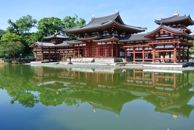 2019年の夏休みは7日間。本来なら東北へ行く予定でしたが、急きょ休みの中3日間に外せない用事ができたため、連続で出かけられるのは2日間のみ。それならということで前半の2日間は高野山方面へ、そして後半の2日間は富山方面へ出掛けてきました。<br />前半は和歌山・奈良・京都・滋賀の4県をぐるっと広く浅く・・巡る旅。<br />1日目は高野山と奈良。そして2日目は猛暑の中、平等院へ。午後は、帰り道の途中でインターを降りて信楽へ。信楽は、次回の朝ドラ「スカーレット」の舞台ということをトラベラーさんに教えていただき「どんなところかな?」と思い、フライングして訪れました。<br />1泊2日の4県をまたぐ旅は、暑さの中でも充実した旅になりました。
