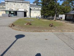 誕生日 奈良・京都旅行