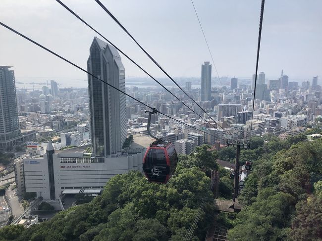 図書館で見つけた、「山頂駅からの山あるき」という本で、ロープーウェイ・ケーブルカー・リフト・バスで登る山　という本で、下からの登山だとなかなかだけど、ロープーウェイで上がって歩いて下るという方法を知りました。<br />山歩きのビギナーとしては、こういう感じから山好きになって行けば良いかなと。<br />今日は暑かったけれど、神戸　ハーブガーデンから再度山への日帰りハイキングに行ってきました。<br /><br />三ノ宮駅から地下鉄で新神戸駅、そこから歩いてロープーウェイ駅へ。<br />ロープーウェイからの神戸の街並みを眺めつつ、中間駅を経てハーブ園山頂駅へ。<br />上からの神戸の風景と様々なハーブの香りを楽しみながら、ハイキング口へ。<br />一気に人はいなくなり、森林浴の中を歩きます。<br />ほんのちょっとで摩耶山行きの登りとのわかれ道を、市ケ原を経て新神戸への左へ。<br />気温が高いので汗は出るけれど、山の中なので日陰三昧。<br />基本下りなので気持ちも楽です。<br /><br />たまに下から来る人たちとあいさつしながら行くと、下り道から道が左右に。<br />どちらに行けば??<br />来た人に聞くと、左を行けば桜茶屋とのことで、たどり着きました。<br />ここはかき氷まで売っている茶店。<br />ここで下の方へ行く階段を下りれば川に。<br />やっぱり水近くは涼しい。<br />川の景色を楽しみながら、また進みます。<br /><br />様々な景色を楽しみながら行くと、大龍寺。<br />ここを登って行くと、山道ランニングの大会をやっているらしく、大勢の人たちが次々と走って来ていて、なんてハードなことができるのか?!?!<br />すごいよね～～と感心しつつ、再度公園の池に。<br />ここで持ってきたお昼を食べて休憩。<br />ランニングの№ゼッケンをつけていても、疲れたのか歩いてきた女の人二人連れもいて、ここでもう超絶走りでUターン戻りの男の人に、私は今からと驚いています。<br />最初に戻ってきたらしいあの人の走りは、さすがに凄いです。<br />みんないろんなレベルの自分を、それぞれに楽しんでいるんだなぁ。<br /><br />ここから戻り、大龍寺を経てさっきの川を渡り、しばらく行くと布引の滝を経て新神戸駅への矢印。<br />あれ?<br />本をコピーしてきた地図通り再度山から大龍寺に戻り、諏訪山公園下バス停までいくつもりが、うっかり桜茶屋まで戻ってしまっていました。<br />あちゃ～、間違えた!!<br />ここからまた寺まで戻るか??<br />いやいや、距離は短くなったけれど、さすがに暑いし、今回は新神戸で良いよ。<br />今度涼しい時期に、星の駅から摩耶山に登った時、諏訪山公園下バス停までリベンジしよう。<br /><br />ハーブガーデンでもらった地図がここでこんなに役に立つとは・・・<br />布引ダムを経てオーバーフローした時だけに見られるという五本松かくれ滝も見事に滝になっていて。<br />猿のかずら橋・布引の滝を経て新神戸駅に。<br />駅の後ろの川で、大勢の親子が川遊びをしていて楽しそう・涼しそう。<br /><br />行路ミスしたけれど、楽しいハイキングでした。<br />