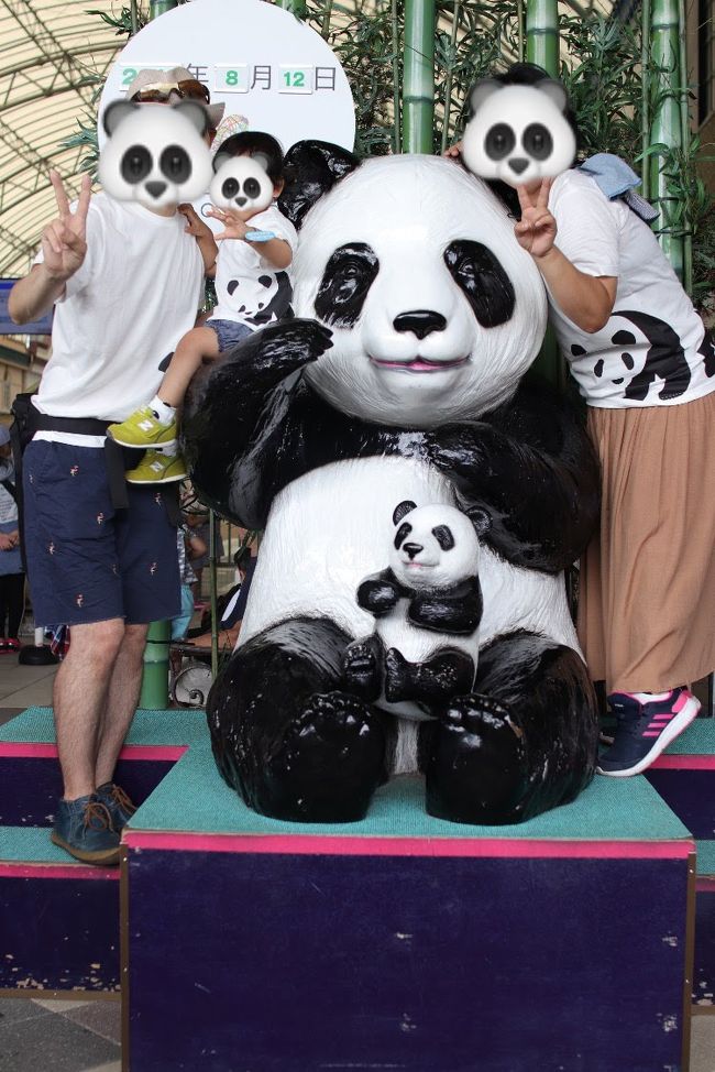 真夏の炎天下、ハイシーズンのお盆に南紀白浜アドベンチャーワールドに行ってきました!<br />2歳の娘やシニアの義父母がいる中、このうだるような暑さで効率的に見て回れるように、当日の行程を練りました。<br />今回は有料ツアー「ジープサファリ体験ツアー」にも参加しました!<br />同じく小さな子連れファミリーの参考になれば幸いです。