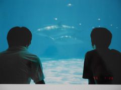 【神奈川・東京】夏の思い出　゜・゜*・茅ヶ崎・七里ヶ浜・稲村ヶ崎・しながわ水族館・横浜中華街・*゜・゜