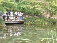 モネの池は名もなき池？