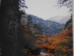 【広島】紅葉の三段峡へ行ってみた