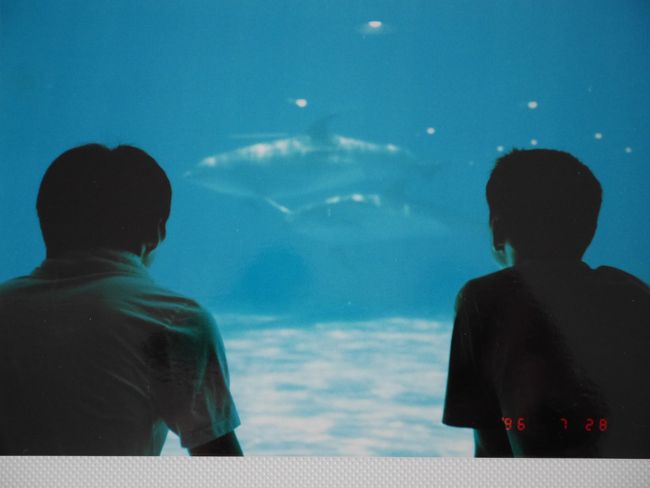 1996年の夏は、自分が生まれ変わったようだった。<br />たくさんの人々に出会った。<br />出会った人々から、暗い底から引き上げてもらったような気さえした。<br />それくらい毎日が新鮮で、勉強になる事が多い日々だった。<br />1日1日が過ぎるのが早く、1日が終わるのが寂しくさえ感じた。<br />人生が楽しいと思った。<br /><br /><br />【補足】<br />①どうにも収拾が付かなくなってきた旅の思い出たち。<br /> 思い切ってフイルム写真の断捨離を行う事にした。<br />②フィルム写真を1枚ずつデジカメで撮影したものを<br /> 掲載しているため画像が粗いです。<br />③自分の備忘録のために旅行記を作成しています。<br /><br /><br />【時期】1996年7月24日~同年8月上旬にかけて撮影<br /><br />【方面】<br /> 神奈川(横浜・茅ヶ崎・鎌倉)<br /> 東京都(品川・墨田区)<br /><br />