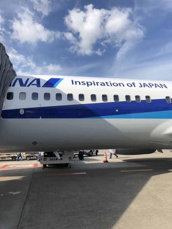 盆休みを利用して、ニューヨークに行ってきました。今回の旅は、全日空の上級会員SFCの獲得のために飛行機にたくさん乗る必要があり、クアラルンプールを途中で挟んでいます。<br />往路:福岡→成田→クアラルンプール→成田→ニューヨーク(JFK)<br />復路:ニューヨーク(JFK)→羽田→クアラルンプール→成田→福岡