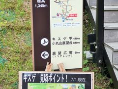 日光-5　霧降高原ｄ　キスゲ平園地　花畑＝遊歩道　☆1432ｍ→1345ｍ/霧薄まり花見ごろ