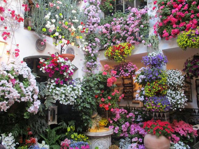 スペイン・アンダルシア　花とシエスタの旅　１　マドリードからコルドバへ　パティオ祭り