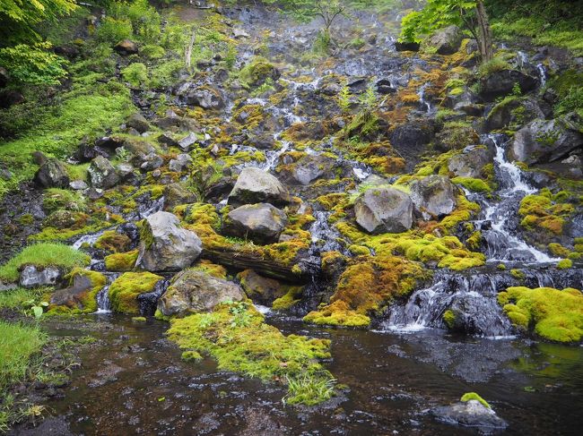 夏休み北海道旅行、最後は釧路&標茶です。<br /><br />8/15 (木)<br />NH4783 11:15 羽田発 12:50 旭川着<br />湧駒荘 泊<br /><br />8/16 (金)<br />湧駒荘 泊<br /><br />8/17 (土)<br />塩別つるつる温泉 泊<br /><br />8/18 (日)<br />チミケップホテル 泊<br /><br />8/19 (月)<br />川湯温泉 欣喜湯 泊<br /><br />8/20 (火)<br />湯宿だいいち 泊<br /><br />★8/21 (水)<br />・道の駅 スワン44ねむろ<br />・納沙布岬<br />・厚岸味覚ターミナル コンキリエ<br />・ガストーラ<br />ANAクラウンプラザホテル釧路 泊<br /><br />★8/22 (木)<br />・喰い処 鮭番屋<br />・オンネトー湯の滝<br />・野中温泉<br />・鉄板焼 藤<br />ANAクラウンプラザホテル釧路 泊<br /><br />★8/23 (金)<br />・竹老園<br />・釧之助 本店<br />・六花亭 鶴見橋店<br />ヘイゼルグラウスマナー 泊<br /><br />★8/24 (土)<br />・岩保木水門<br />NH742 13:40 釧路発 15:25 羽田着