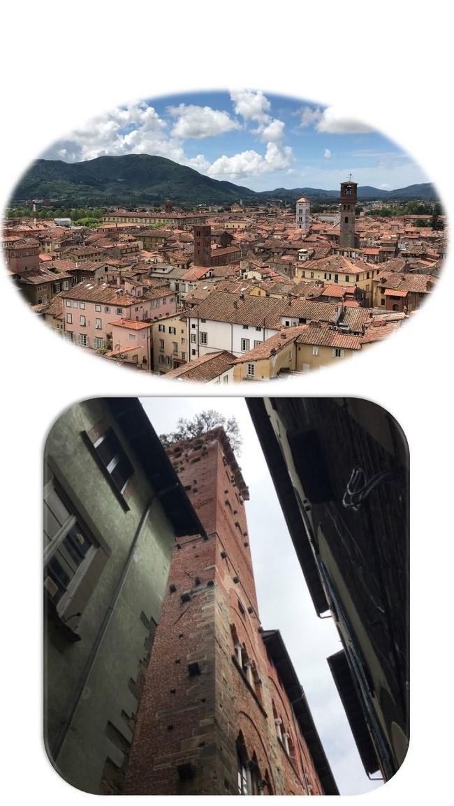 表紙の写真・屋上に緑が茂るグイニージの塔と、屋上からの眺めた中世の街並み。<br /><br />2019・5月20日(月)<br />ボローニャからフィレンツェに戻ってまいりました。<br />2017年9月の一人旅の時に、ピサに宿泊してルッカに立ち寄って、フィレンツェに向かう予定でしたが、ピサでゆっくりしすぎて行けなかったので、今回は行こうと思って計画しました。<br /><br />プランニング時に夫にピサを通るけど、立ち寄らなくていいの?と何回も聞いたのですが、良いというので通過予定でしたのに、やっぱり見るだけ見ようかな~と最後に・・・だから何回も聞いたのにね~<br />直前のプラン変更は疲れるんですよ。。<br /><br />ボローニャと同じで前日に、夜遅くまでネットで時刻表と首っ引き^^;<br />夕刻には月曜日にしか見れないフィオレンティーナ教会に、絶対立ち寄りたいので行くだけ・見るだけになりますが、チケットを購入。<br />ただ、ルッカからフィレンツェに戻るチケットのみ、現地で購入する事にしておきました。(1時間に1本で散策で遅れたら次と決めていたので)<br /><br />フィレンツェ9:28~ピサ10:28(前日ネット購入・2人で17.2ユーロ)<br />ピサ12:20~ルッカ12:47(前日ネット購入・2人で7.2ユーロ)<br />ルッカ14:31~フィレンツェ15:50窓口2人で15.6ユーロ。<br />遅れた場合は1時間後の電車に乗車予定で出発。<br /><br />「ピサ」<br />前回(2017・9月の一人旅)に詳しく旅行記にしましたので、今回は説明は省きます。<br />「ルッカ」<br />トスカーナ北部のルッカ県の中心地。<br />長い歴史を誇り今日でも旧市街地は、完璧な城壁に囲まれていて、1周4,2キロの遊歩道になっている。<br />中世からルネッサンス時代にかけての建造物・美術など見どころが多い。<br />(ローマ時代の円形闘技場跡・国立博物館・国立絵画館・現代美術館・プッチーニの生家博物館・無数の教会など)<br /><br />1805年にはナポレオンの妹エリーザ・ボナパルトの納める公国となり、続いてはパルマ公国に編入されている(1817年)統一イタリアのトスカーナ州に入ったのは1860年だそうです。<br /><br />今回も長めですが・・備忘録ですのでお許し下さい。<br /><br /><br />