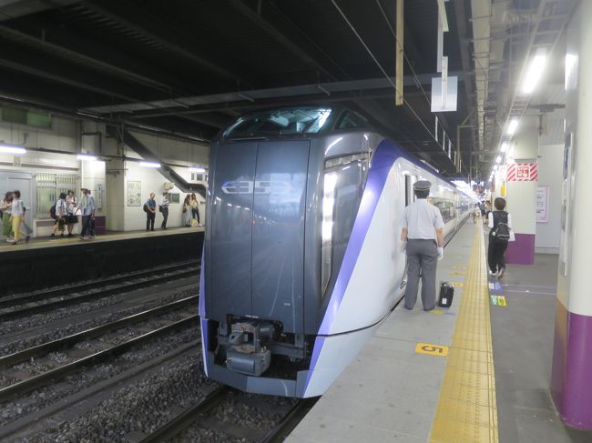 出張の帰路に使い手元に残った週末パス。使わないと勿体ないという貧乏性が出て午後から出かける事に。1週間前に米沢の上杉神社に行ったので次は武田神社に行かなくっちゃという軽い理由で甲府に行ってきました。<br />