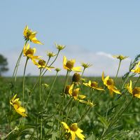 なつぞら十勝 vol.2【いろんな夏景色を見て、帰途は二風谷コタンへ】