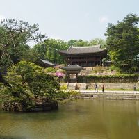 2019GWはとうとう韓国ソウル　④ソウル後半は世界遺産の「昌徳宮」「宣陵・靖陵」行って、翌日アッサリと帰国です
