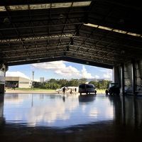 ブラジルの田舎町で「肉牛のオークション」に行ってみた～！#1（Patos de Minas／ミナスジェライス州／ブラジル）