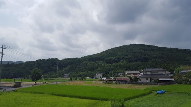 8/3大高取山に続いて、東上線沿線のハイキングにやってきました。暑さは覚悟していた<br />つもりでしたがオジサンにはきつい気温と湿度でした。