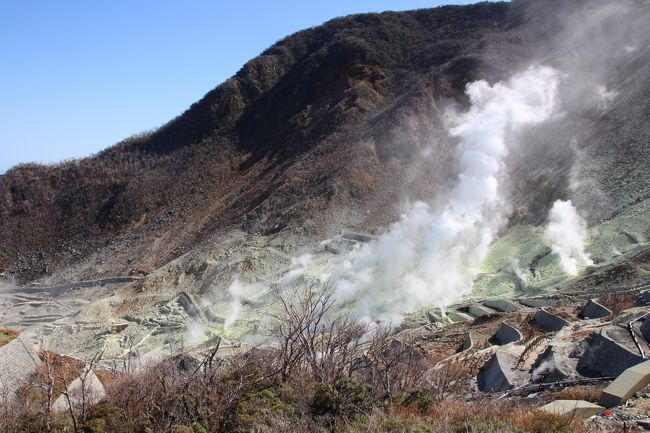 去年の旅行記になりますが、覚えの為に。<br />少スポのお休みがやっと取れて、急遽、箱根へ行く事にしました。<br />チロもいるので車中泊です。<br />子供達も大きくなってきたので、そろそろ車中泊も限界かもです。<br /><br />1日目、箱根に到着した頃から雨模様。<br />２日目は晴れたので、ロープウェーで大涌谷に登り、芦ノ湖の遊覧船を楽しみました。<br />