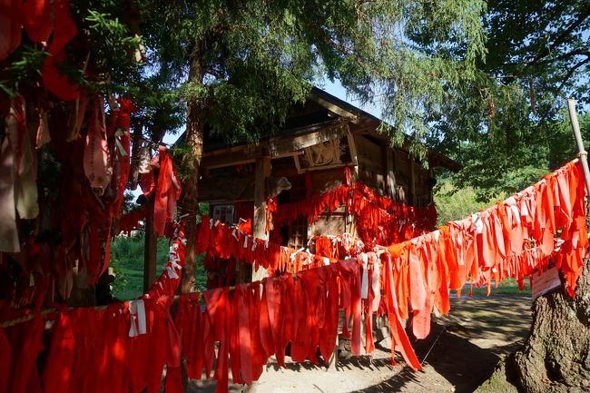 遠野は、柳田國男の「遠野物語」の舞台となった町。河童や座敷童子など豊かな民話の故郷です。今回の訪問は、久しぶり。日帰りの日程なので、遠野駅から歩ける範囲に絞って、限界まで探索してみることにしました。<br /><br />江戸時代、遠野は遠野南部氏の城下町。この遠野南部氏というのは、八戸根城にあった八戸南部氏のこと。南部藩の宗家は、三戸南部氏ですが、本家はむしろ、八戸南部氏という見方もあって、実質的な移封は微妙な側面を持っていたのではないか。南部藩の中にあっても、遠野は違うというような気風も少しはあったかもしれません。　<br />ちなみに、南部氏は、頼朝の奥州合戦の後、御家人に任ぜられてこの地に入り、以降、700年に渡って、同地を治めるという稀有な一族。しかし、三戸南部、八戸南部だけではなく、一戸南部、四戸南部、七戸南部、九戸南部といった分家が多く、一枚岩となっていない弱みがありました。津軽為信の離反もこうした背景があってのものなんですね。<br /><br />ただ、遠野が全国区となったのは、やはり、柳田國男の「遠野物語」のお陰。そして、「日本人とは何か」という視点で日本民俗学を大成した柳田にとっても、その後を決定的にした地でもあったと思います。もしかしたら、そうしたことを考えてしまうからかもしれませんが、私としては、民話の不思議な感覚は民話の中だけではなくて、実際の現地の風土にも感じられなくはない。岩手にあって、宮沢賢治のファンタジーの世界の匂いがする花巻と双璧のような気もします。<br />