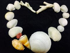 2度目バリ【子連れ1回目】⑤