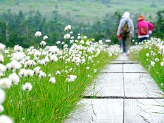 ばばあの気まま一人旅～初夏の秋田～八幡平へ３ヶ月連続で行ってみた！そして旅は終わらない編～