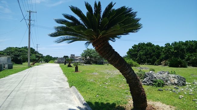 昨年もチャレンジ叶わずのなかなか行けない水納島。<br /><br />タイトルはチャレンジ的になってるんですが、実は今回の多良間島渡りにはチャレンジはあまり考えていなかったんですよ。<br />梅雨明けしてるといいな～と、その翌週に当初は予約していたんですが、旅友kさんからこの週に多良間島に行く際の宿関係の問合せがあって、人数聞いてみるともしかしたら貸し切りにできるかもしれない人数だったので、加勢するために日程を変更してこの日程になりました。<br />kさんご一行とはkさんとtさん以外は面識がないので、宿は一緒ですがそれ以外は別行動ということで、お気遣いなしで海遊びをしてきました。<br /><br />その結果として・・・<br /><br /><br />今回の航空券<br /><br />ダブリン帰りと多良間行きを兼ねたソウル発釜山行きJAL航空券<br />ソウル→羽田→宮古→羽田/成田→釜山（529,800ウォン(変更手数料30,000ウォン含む)（エコノミー（M/Y/Y/S））の国内線区間<br />宮古→多良間→宮古（往復割引）