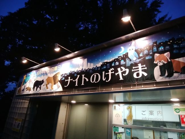 8月には、野毛山動物園でナイトズーが開催しています。<br />そこに行った後に飲み屋街をはしごしました。<br />もう一件くらい行きたかったけど、お腹いっぱいで断念。<br />また、リベンジします。