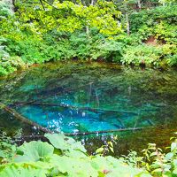 道東の自然と食と思い出を巡る旅。天気に翻弄された3泊4日。阿寒、川湯、摩周、ヘイゼルクラウスマナー宿泊編