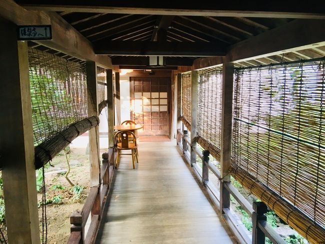 山陰旅行では定番の出雲大社(いずもおおやしろ)を交えながら周辺の由緒ある神社を巡り開運と海の幸を堪能しようと計画した旅です。宿泊は皆生や玉造といった定番の温泉地を避け、西出雲は多岐町にある木の香り漂う一軒宿「小田温泉」で癒しと寛ぎをたっぷりと満喫しました。<br /><br />画像をアップは出来ませんでしたが、須佐神社、稲佐の浜、日御碕神社も大変お勧めです。是非訪ねてパワーを感じ取って頂きたいです!