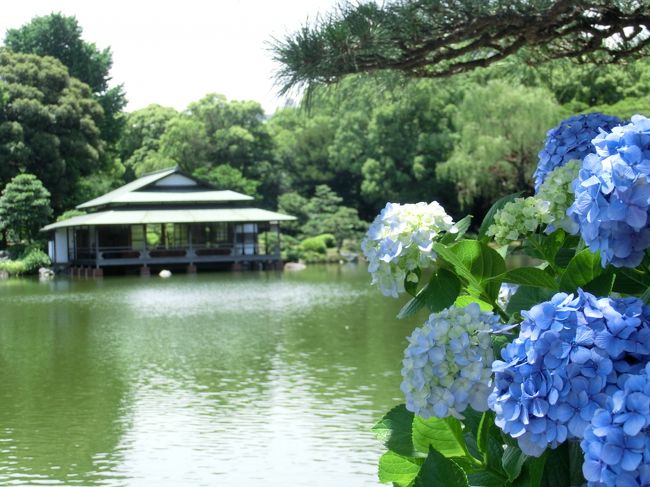 知ってはいたけど、一度も行ったことがなかった「清澄庭園」。この日は予定があり有休を取っていたのだけど、予定は午後からだったため、ちょっと行ってみることに。。。<br />（入園料：￥１５０）<br />