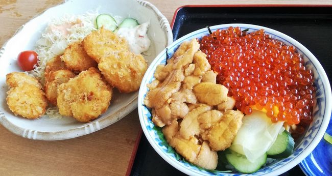 JALの「どこかにマイル」を利用して、2泊3日で青森へ行ってきました♪<br />往復6,000マイルでどこかに行ける、とってもお得なマイル特典☆<br />「青森」「三沢」「山形」「秋田」の4つの行き先候補の中から決定した行き先は、第一希望の青森!<br />レンタカーをフル活用し、下北半島~奥入瀬~弘前~青森市を巡ってきました。<br /><br />1日目は、青森空港から下北半島へ☆