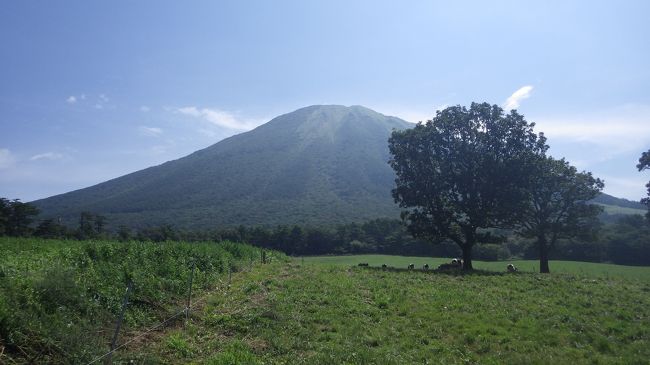 無料の道路が充実していて、様々な魅力のある鳥取県。<br />往復600キロのロングウェイドライブですが、<br />日帰りで、何度も訪れています。<br /><br />澤井珈琲が、お気に入りで、鳥取県に行く度に、<br />お茶しています。<br /><br />また、海鮮が新鮮でおいしく、大手チェーンでない回転寿司屋や、<br />海鮮丼、海鮮のお店も充実しています。<br /><br />観光よりもグルメ中心の日帰り旅行ですが、参考になさって下さい。