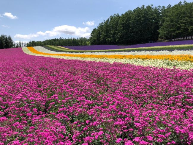 今年の夏旅の目的地は、北海道！<br />某旅行会社のツアーを参考に、函館、富良野、旭川、札幌、小樽を4日間かけてレンタカーで周りました。