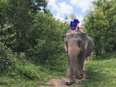 2019夏 孫と二人LCCでチェンマイ へ　②人と象が共に住む村へ、1日象のお世話ツアー