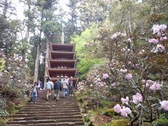 たまにはベタな観光旅行1904　「平成最後の日に室生寺＆今井町＆飛鳥を訪れました。」　　～奈良～ 