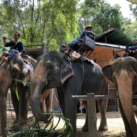 2019 チェンマイ 子連れ旅 1日目