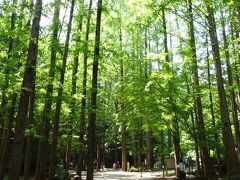 ぶらっと川崎（生田緑地）