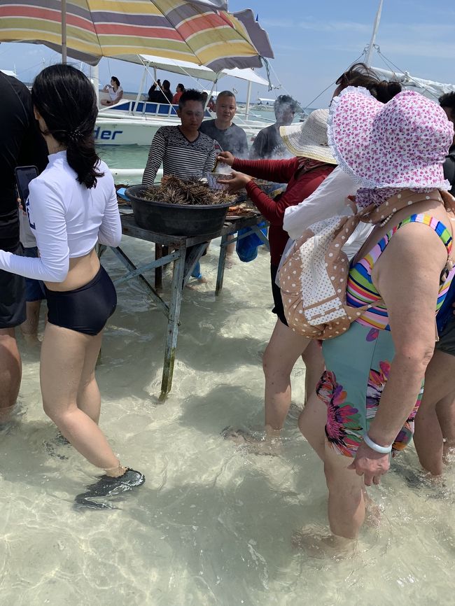 僕が60歳になったのを機会にボホール島の旅行を去年から計画。そして実現。空港が新しくアロナビーチ付近になったので、移動も楽でした。1日目は島内観光。2日目はバリカサグ島とバージンアイランド。3日目は午前中ダメ元で釣り。午後はのんびりとホテルで過ごし。4日目はマニラに戻りました。宿はアロナビーチぼ浜辺にあるピラミッドリゾートのデラックスルームで、室内は綺麗でプールサイドでした。アロナのメインエリアに徒歩で3分くらいの場所です。ただ残念なのは物価が高いですね。両替場所はありますが最悪のレートです。なので両替所は利用しないでクレジットカードと持ってきたペソで買物や食事を楽しんで来ました。