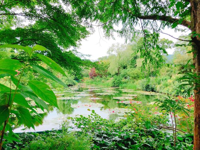 お越し頂きありがとうございます。<br />最新旅行記(2019年夏旅、沖縄へ)から遡っていく予定の旅行記、すべての旅行記を書いていると書ききれないうちに新しい旅がやってくるので、印象に残る宿を中心に遡ってみようと思います。<br />4トラに登録してから10日足らずで3000回の訪問を頂いているようで光栄の極み。たくさんのいいねも頂いております、感謝です。いいねを頂いた皆様の旅行記も見させて頂いております。<br />マイペースで旅行記書いて参ります、どうぞよろしくお願い致します。<br /><br /><br />何年も「行こう、行きたい、行かなくちゃ!」(笑)と言っていた高知県北川村のモネの庭。<br />せっかく行くなら睡蓮を見たいということで友人と入梅前の5月末から行って来ました。<br />前半の二日間はウトコオーベルジュ&スパに滞在しました。<br /><br /><br />