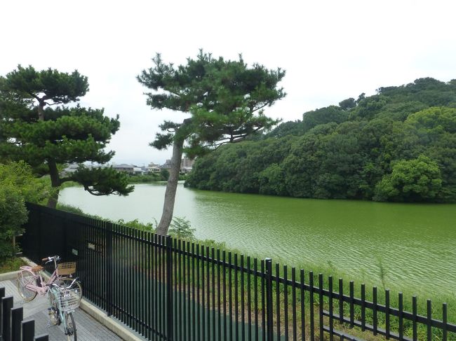 旅行の最終日は堺観光です。関西空港発17:30の飛行機で帰るので15:00くらいまでは観光できるかな。<br />この夏世界遺産に登録された百舌鳥古墳群がダンナさんのお目当てとはいえ、天皇陵は拝所から遠く眺めることができるだけ。古墳をサクサクっと見て後はのんびり・・というおばちゃんの目論見はまるっきり見当違いでした。<br /><br />1日目、羽田空港から南紀白浜空港へ、熊野本宮、川湯温泉泊<br />2日目、熊野速玉大社、那智大社、飛瀧神社、勝浦温泉泊<br />3日目、補陀洛山寺、橋杭岩、潮岬、堺へ、堺泊<br />4日目、百舌鳥古墳群、関西空港から羽田空港へ<br />