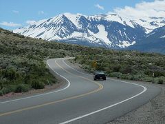 ネバダ州　高速道路　標識　看板　インテリア　アメカ　UFO USA 375 Area 51 のドライブ～宇宙人好きにお勧め～Warm Springsから